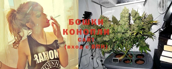 mdpv Гусев
