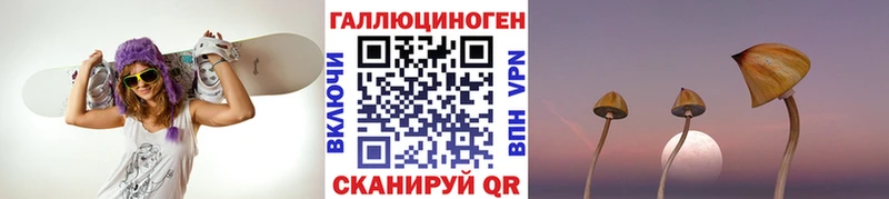 ссылка на мегу как войти Дятьково Галлюциногенные грибы мицелий
